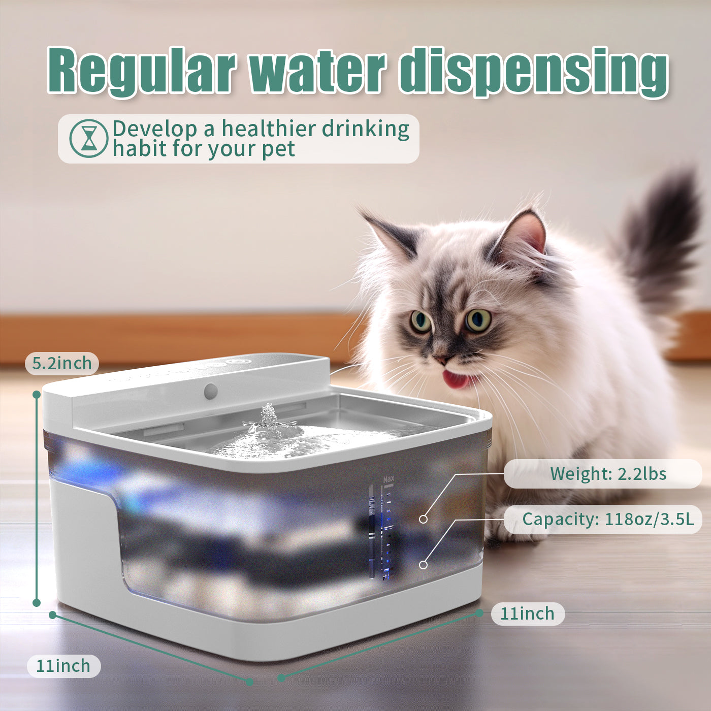 RefinedPetFlow The Filterless Self-Refill Fountain
